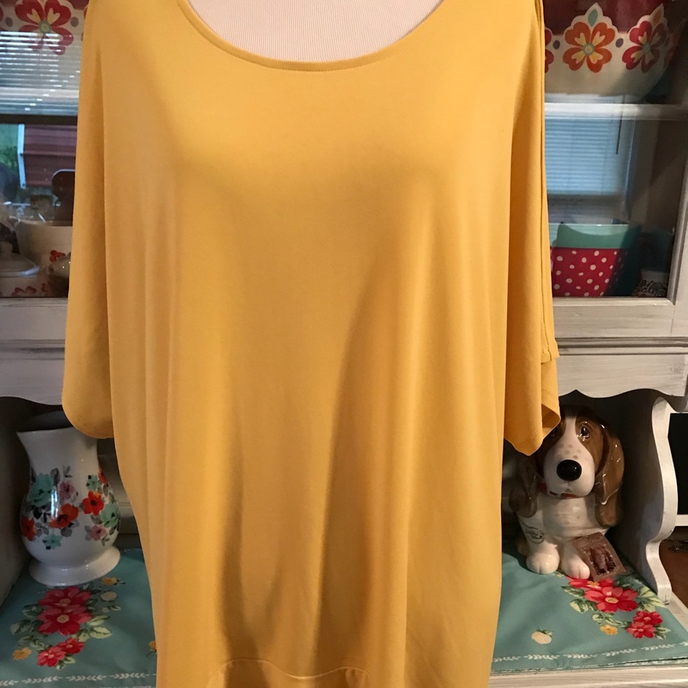 🌷Beautiful Plus Size Top 🌷